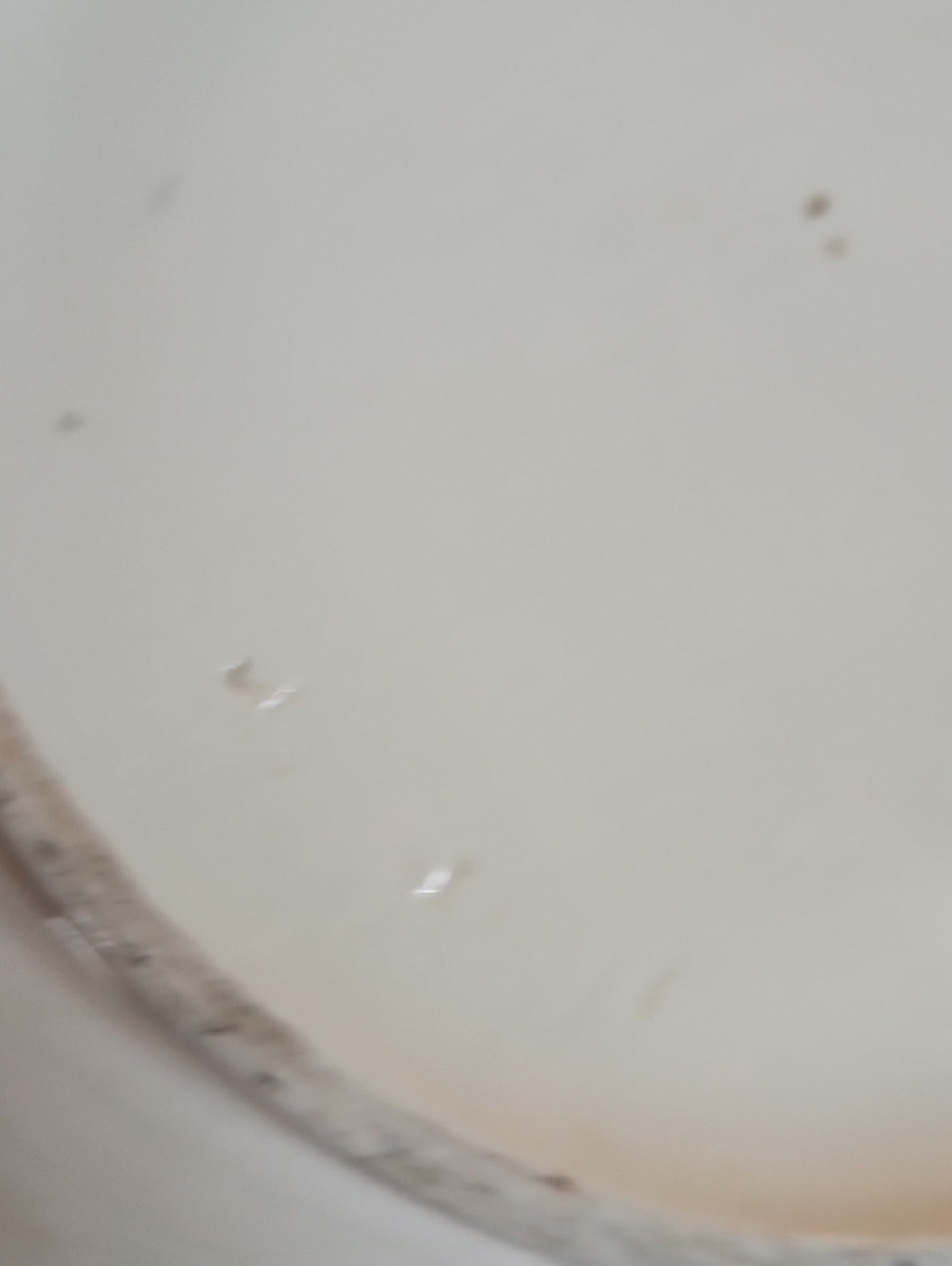 White Ceramic Decorative Vase with Gold Trim - Picture 6 of 14